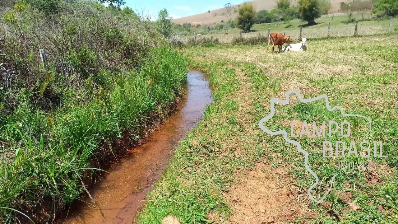 SÍTIO 32.000M² EM PARAISÓPOLIS - MG ! - Foto 4