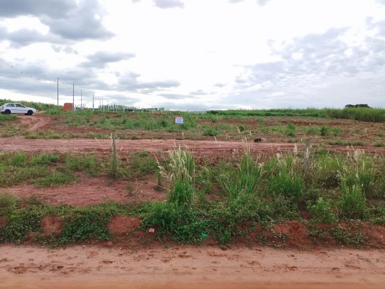 Foto - Mirassol - Residencial Regissol I