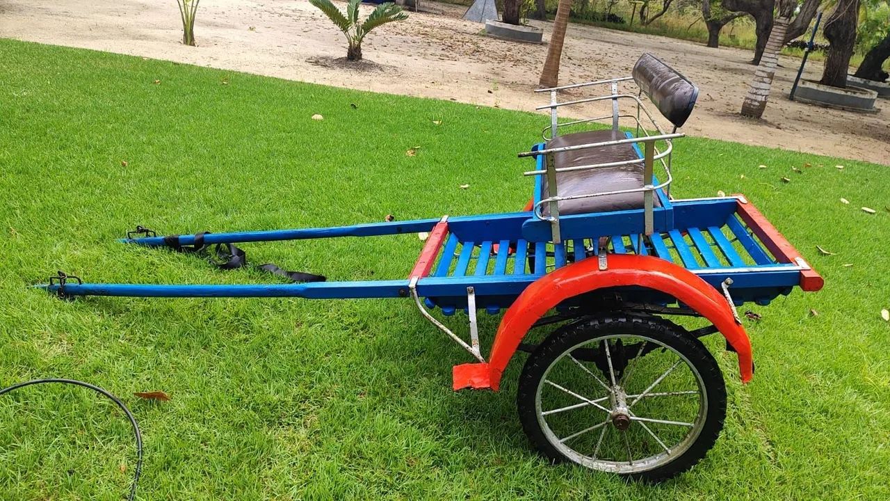 Charrete, carroça e sela - Foto 2