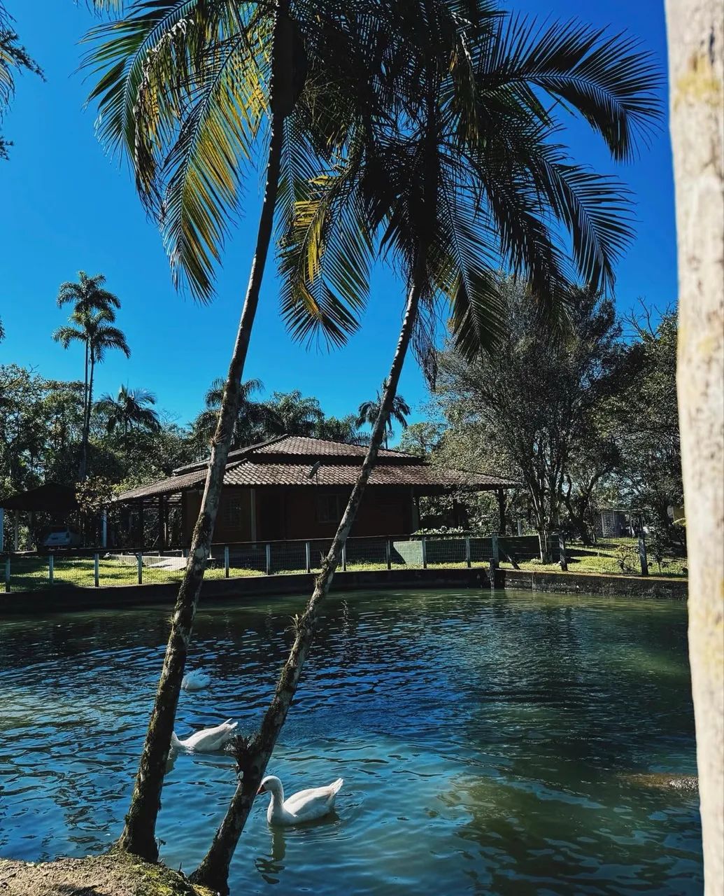 Chácara  em Morretes