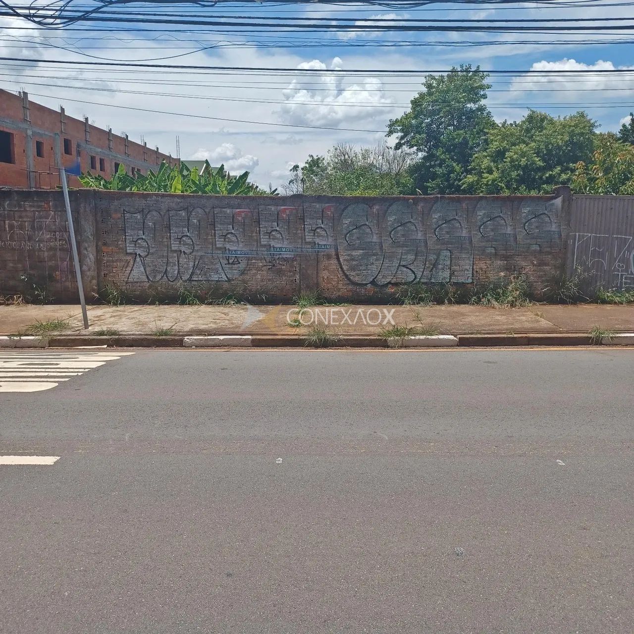 terreno - Chácara Primavera - Campinas