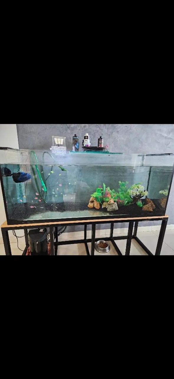 Vendo Aquário  - Foto 2