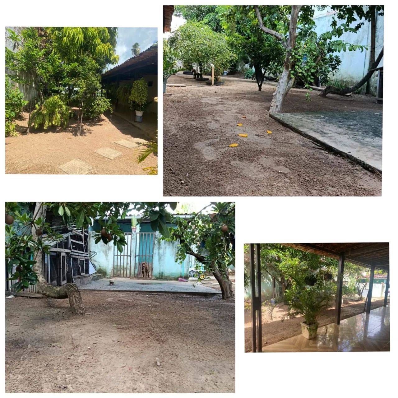 Casa a Venda Paripueira - Foto 4