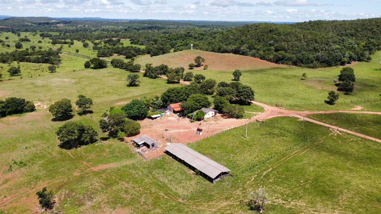 Fazenda a 37 km de Nova Xavantina - Foto 2