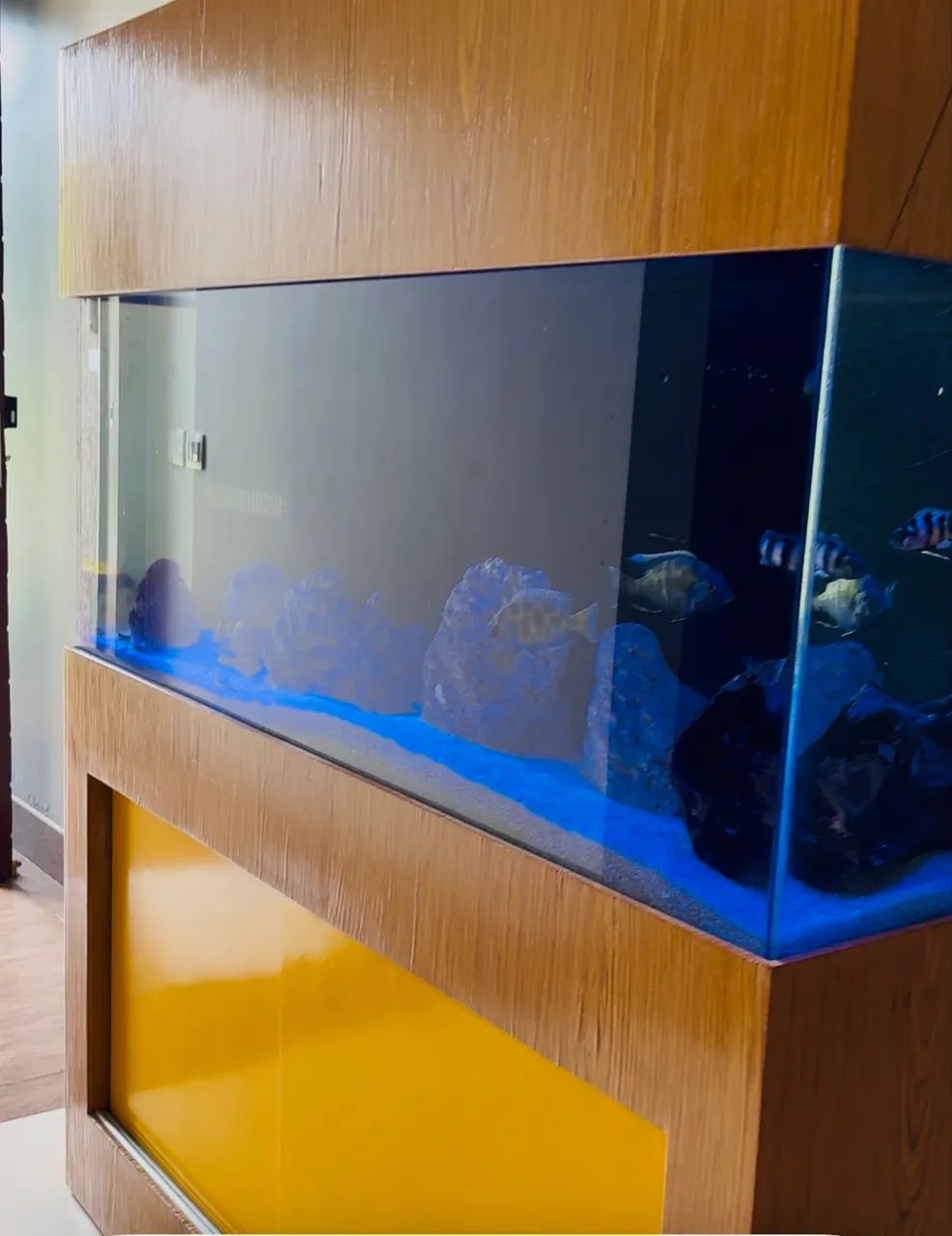 Aquário somente dinheiro , pix NÃO aceito troca ! - Foto 6