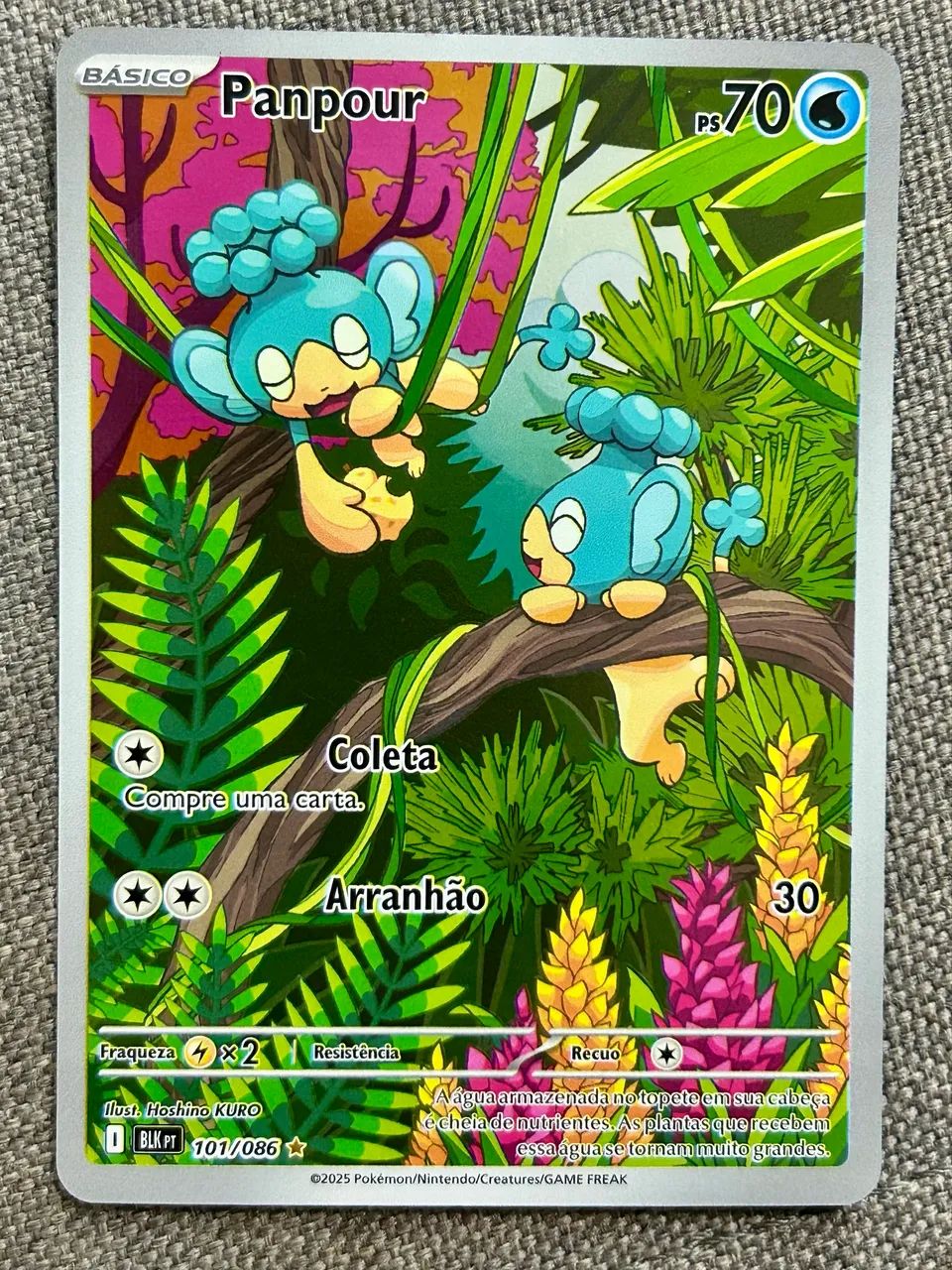Carta Pokémon Panpour