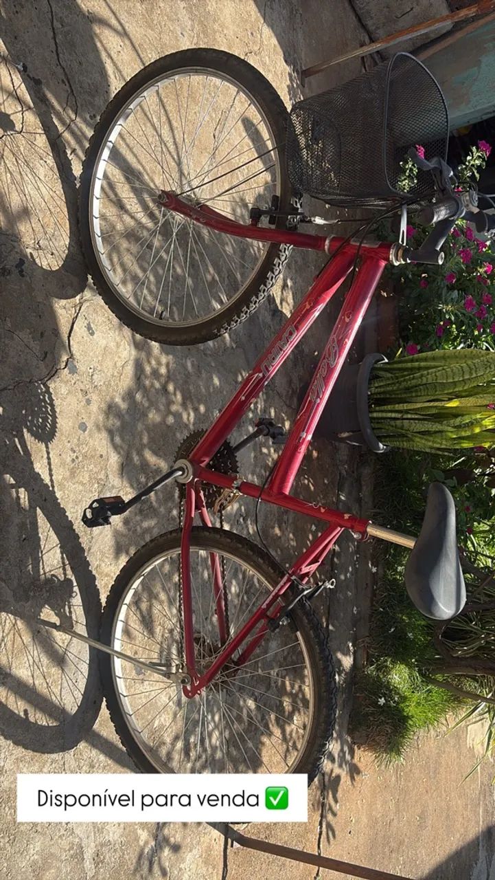 Bicicleta vermelha 