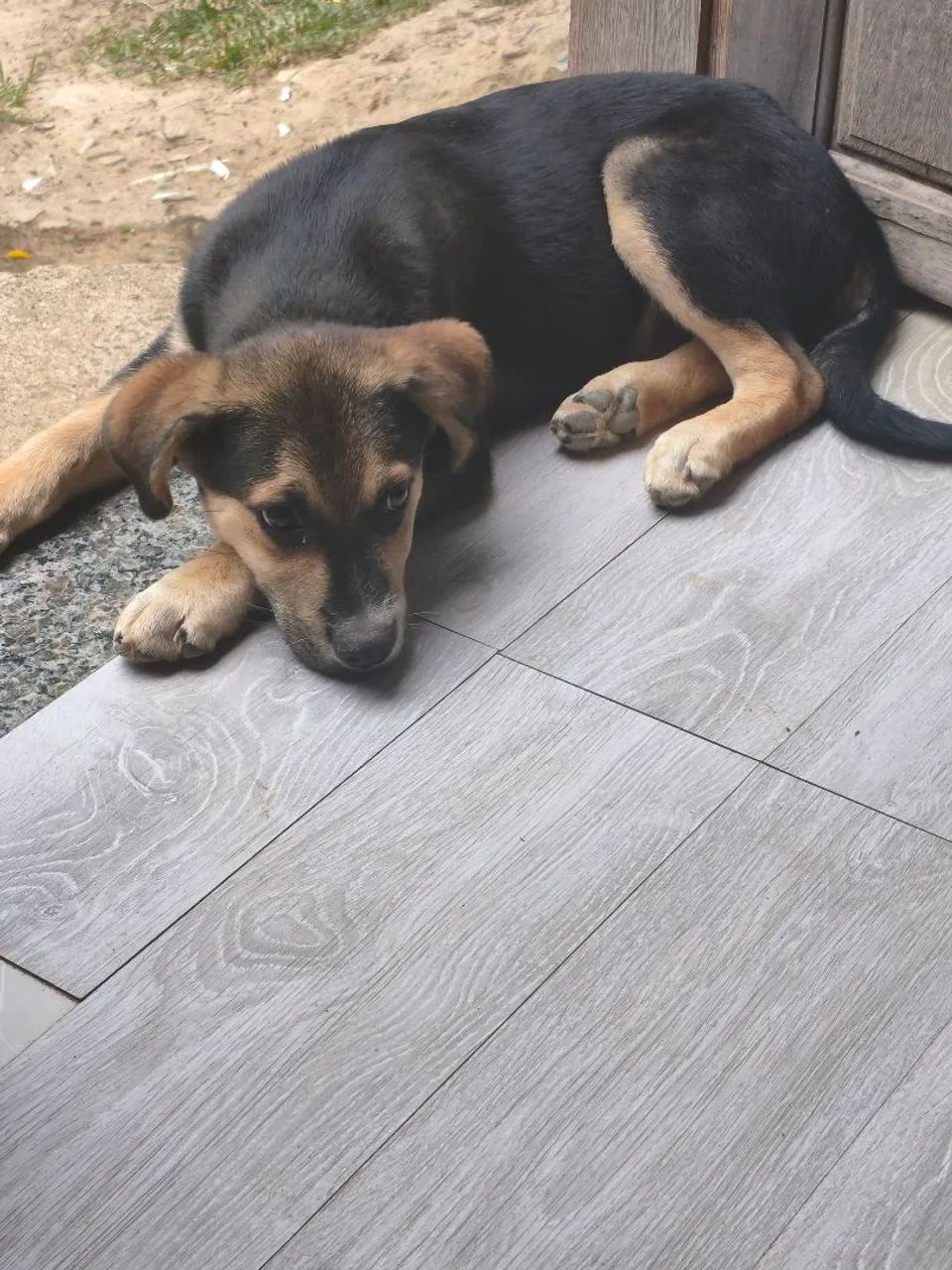 Doação  - Foto 4