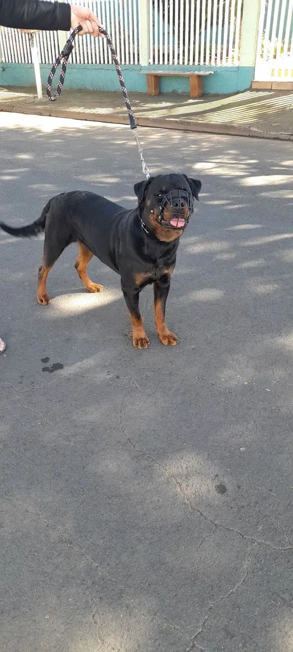 Doação 