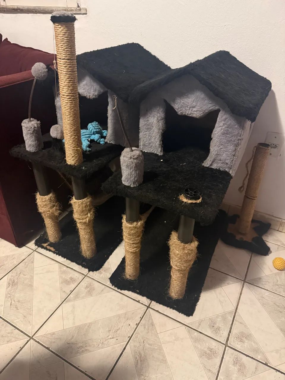 2 casas de gato