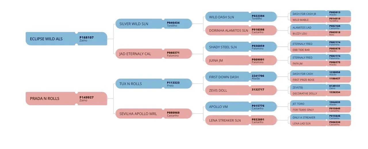 POTRA NETA DO ROXÃO  - Foto 4