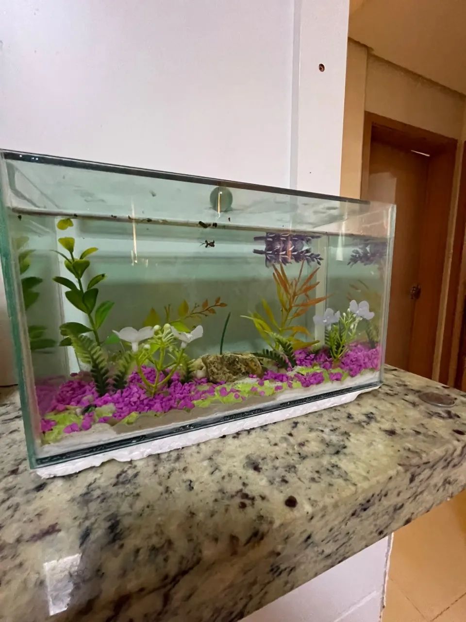 Vendo Aquário 3 litros 