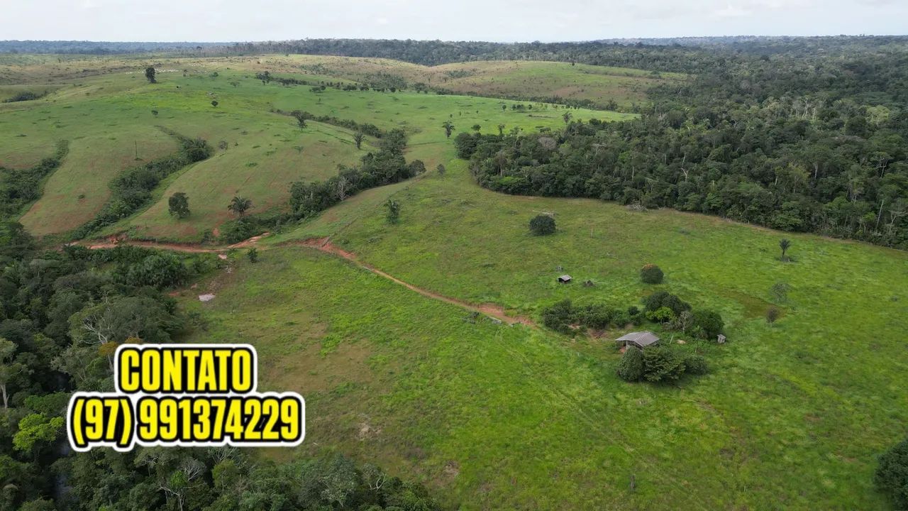 EXCELENTE FAZENDA EM APUÍ AMAZONAS