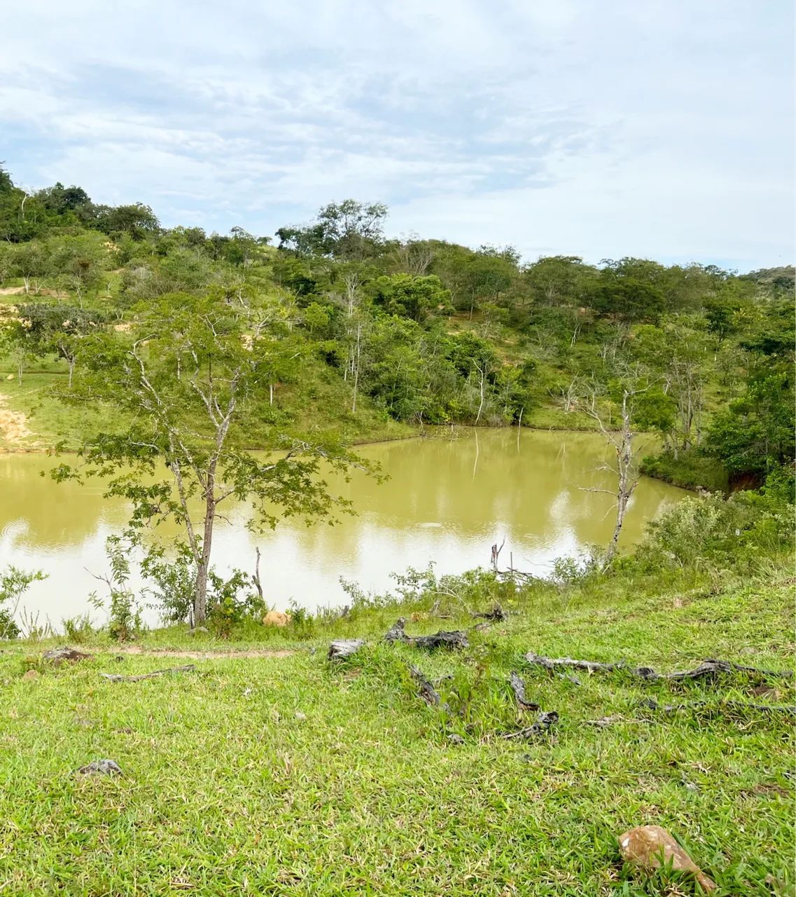 Fazenda Planaltina Go  - Foto 4