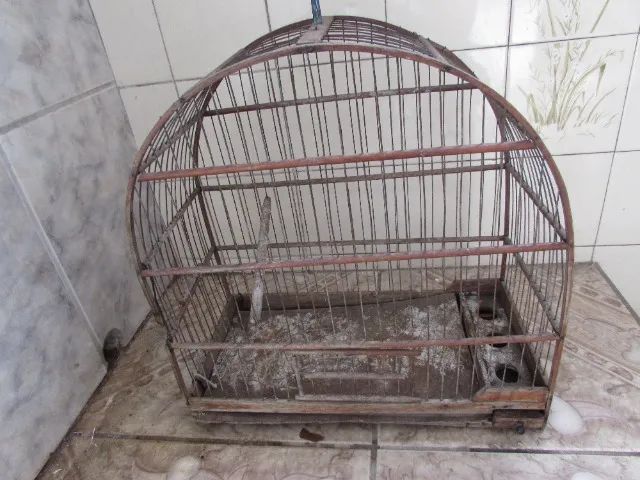 Gaiola