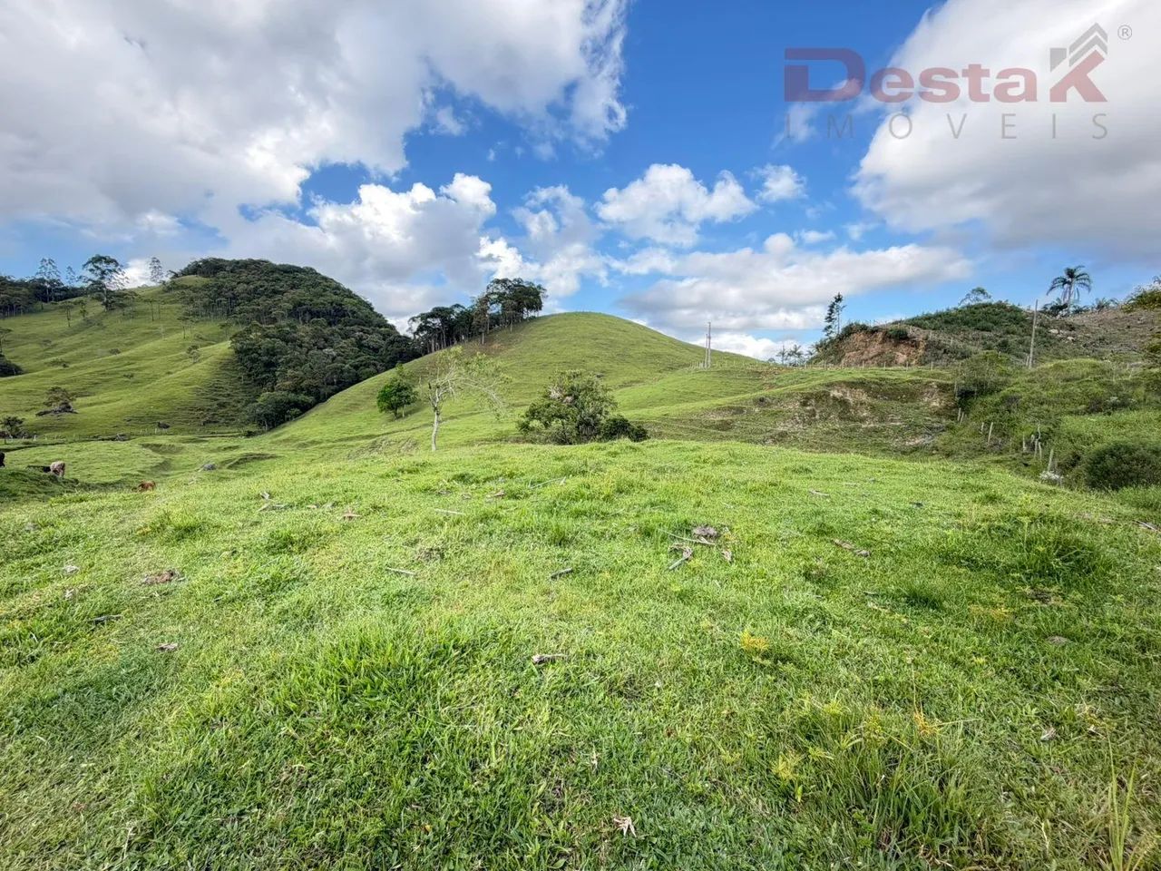 Sítio em Alto Egito - Antônio Carlos - Foto 5