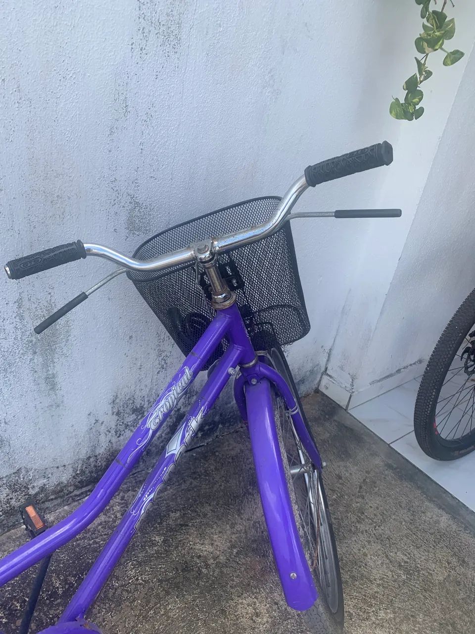 Bike tropical original  - Foto 3