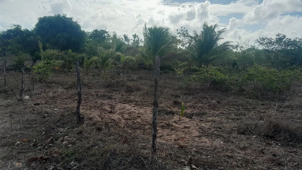 Terreno 