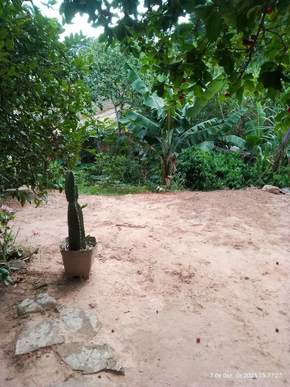 terreno 480mt2 com casa  - Foto 5