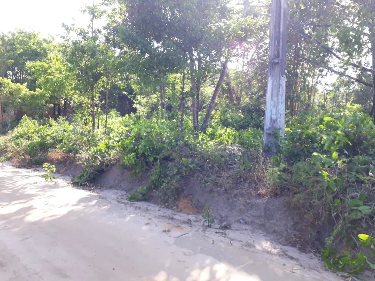 Dois terrenos em Marapanim PA - Foto 2