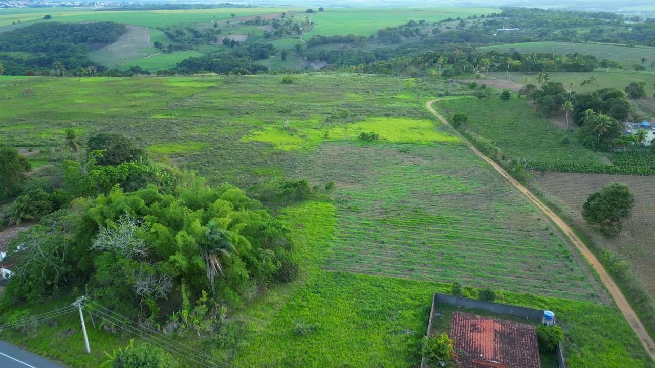 Granja com 21 hectares às margem da PB 036 - Foto 4