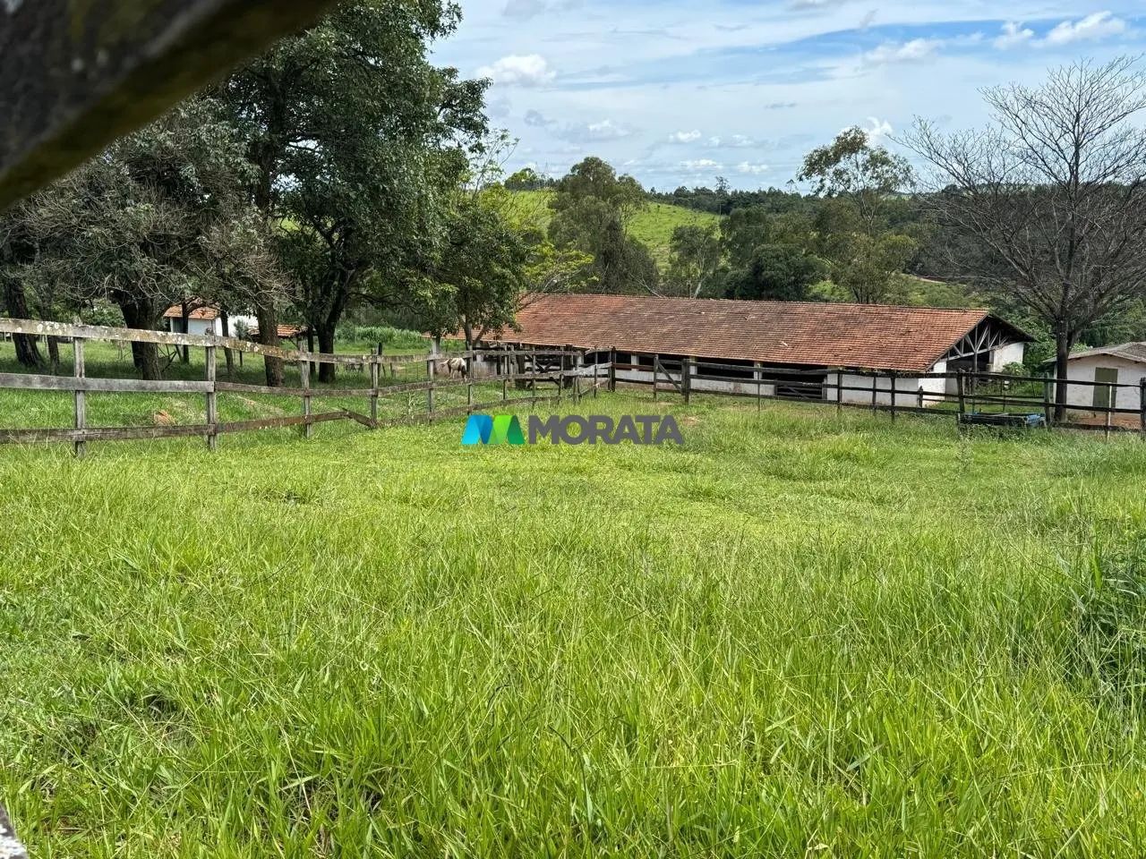 FAZENDA À VENDA - 200 HECTARES - ITAÚNA (MG) - Foto 3