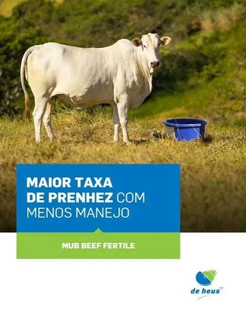 MUB - Foto 5