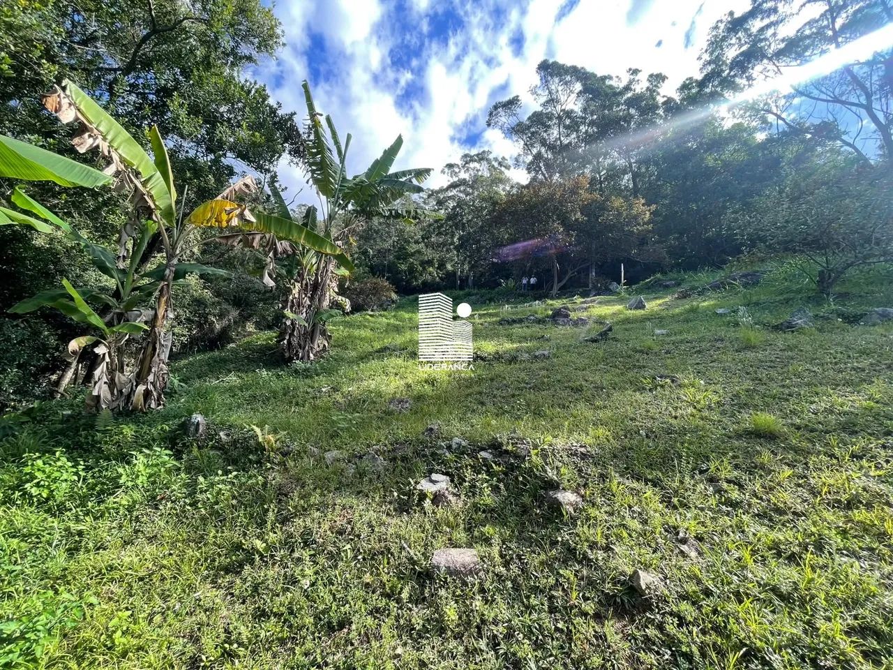Terreno, Trindade - Foto 2