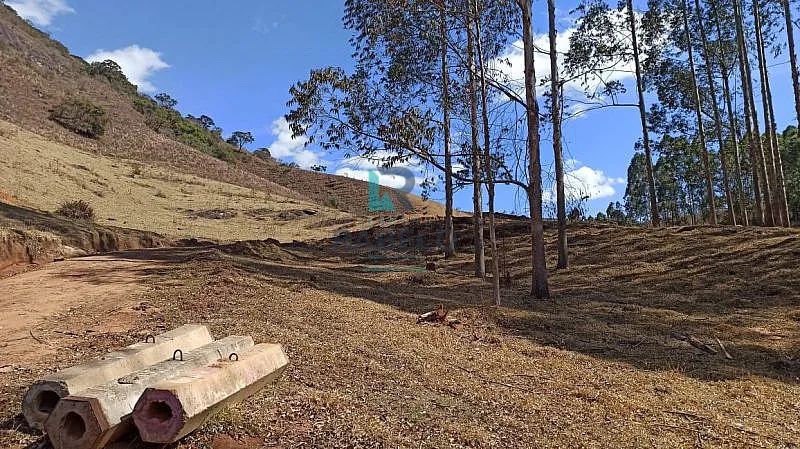 SÍTIO COM EXCELENTE TOPOGRAFIA EM MARMELÓPOLIS-MG - Foto 3