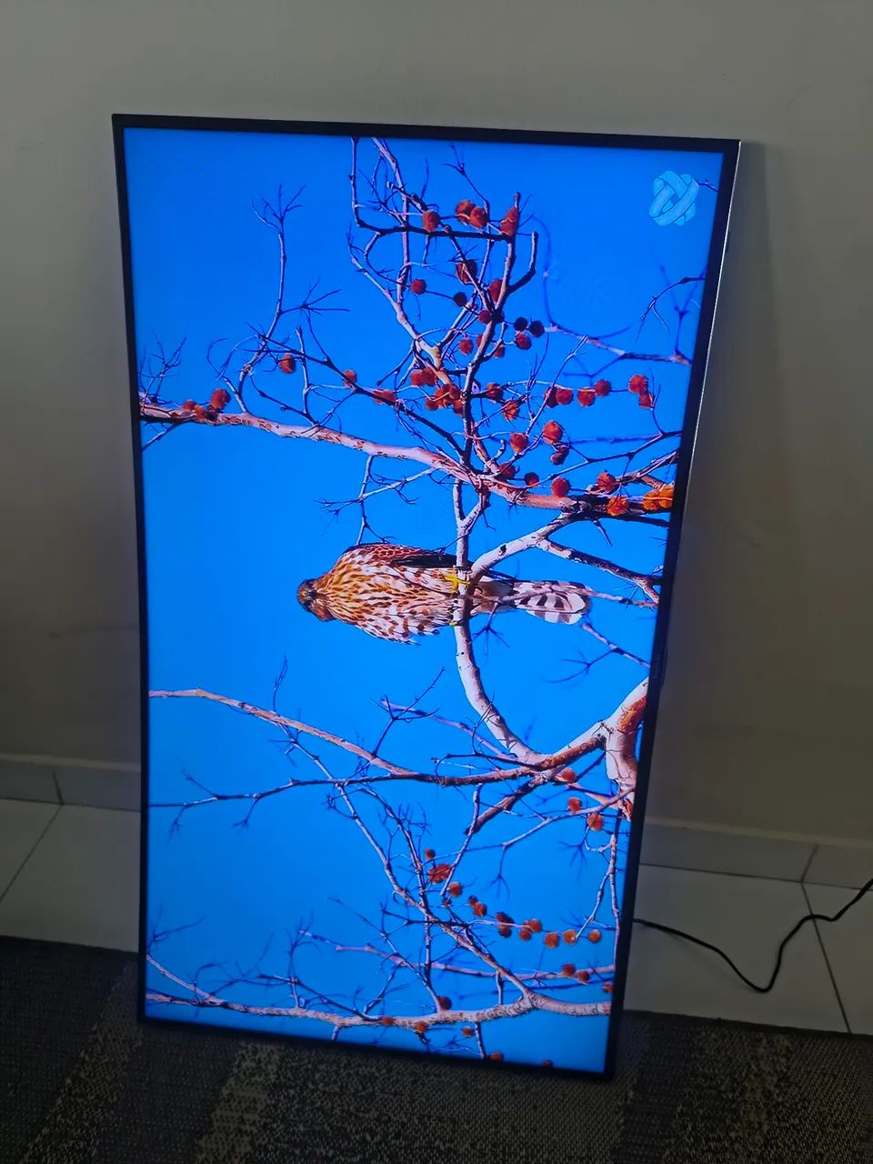 Tv Samsung 49" curva - Foto 4