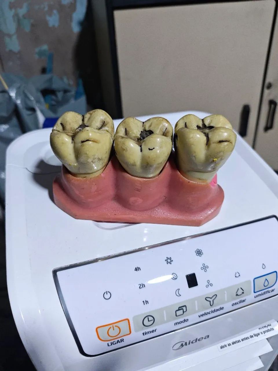 modelo odontologico - Foto 4
