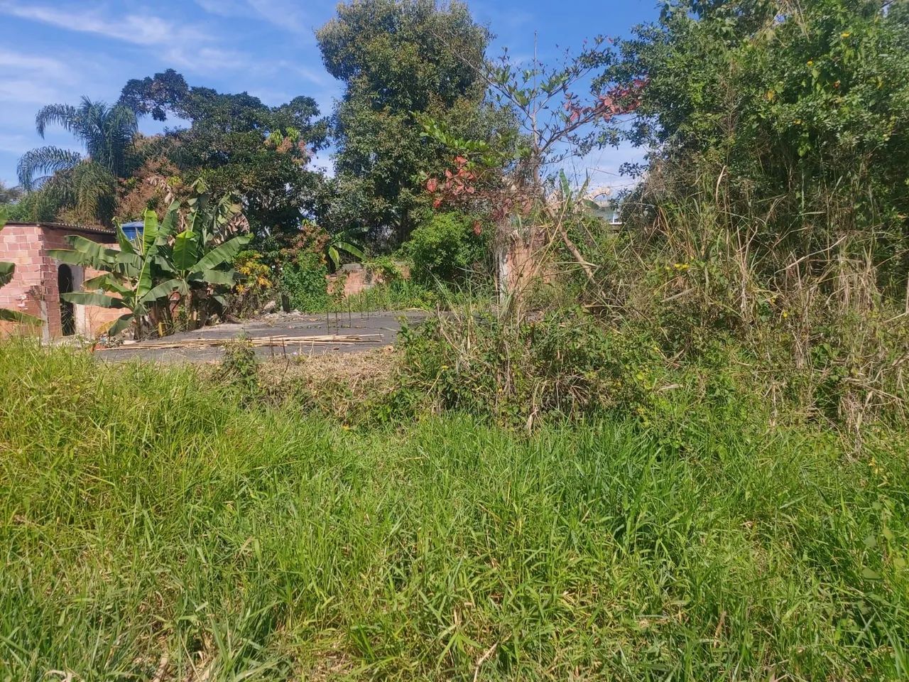 Vendo terreno em mage Maria conga  - Foto 3