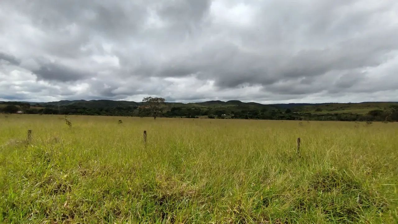 Chácara no Altiplano Leste com terreno totalmente plano - Foto 5
