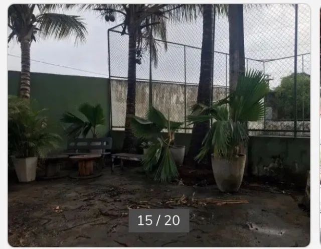 ChácaraClima Bom - Foto 4