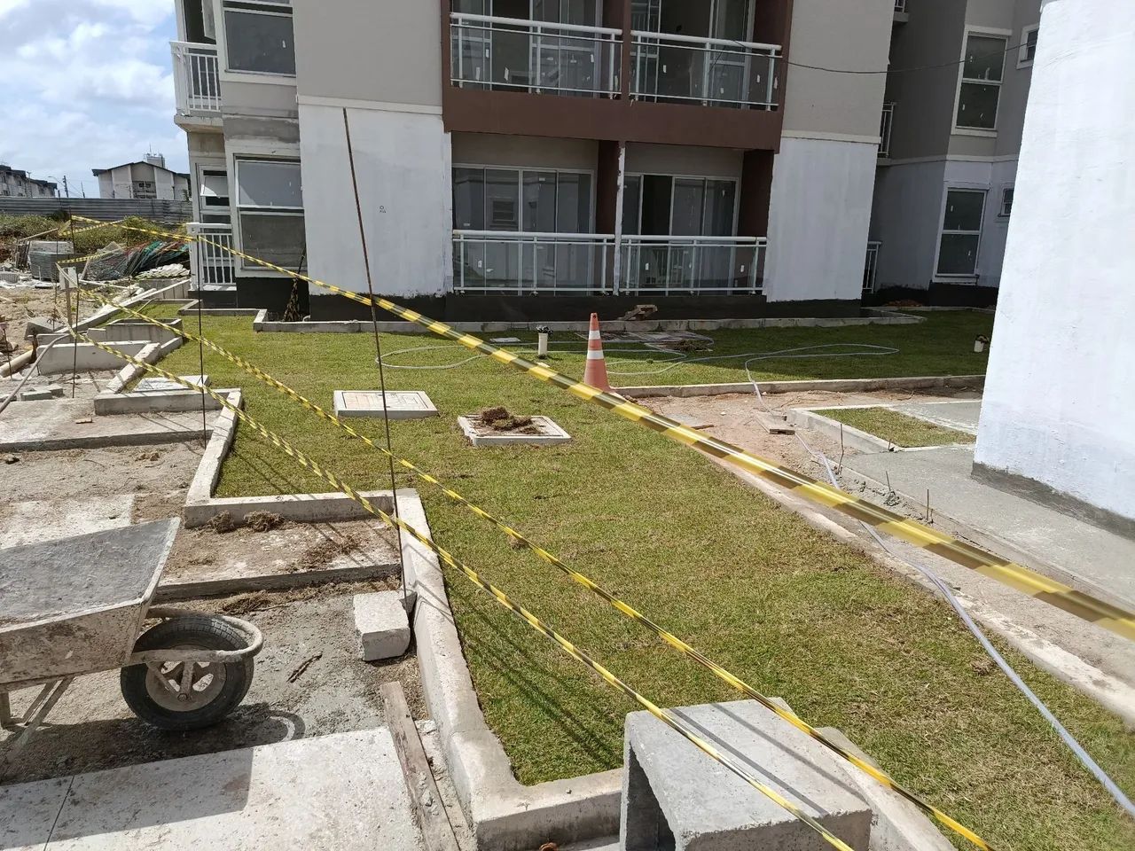 Grama americana e esmeralda  - Foto 2