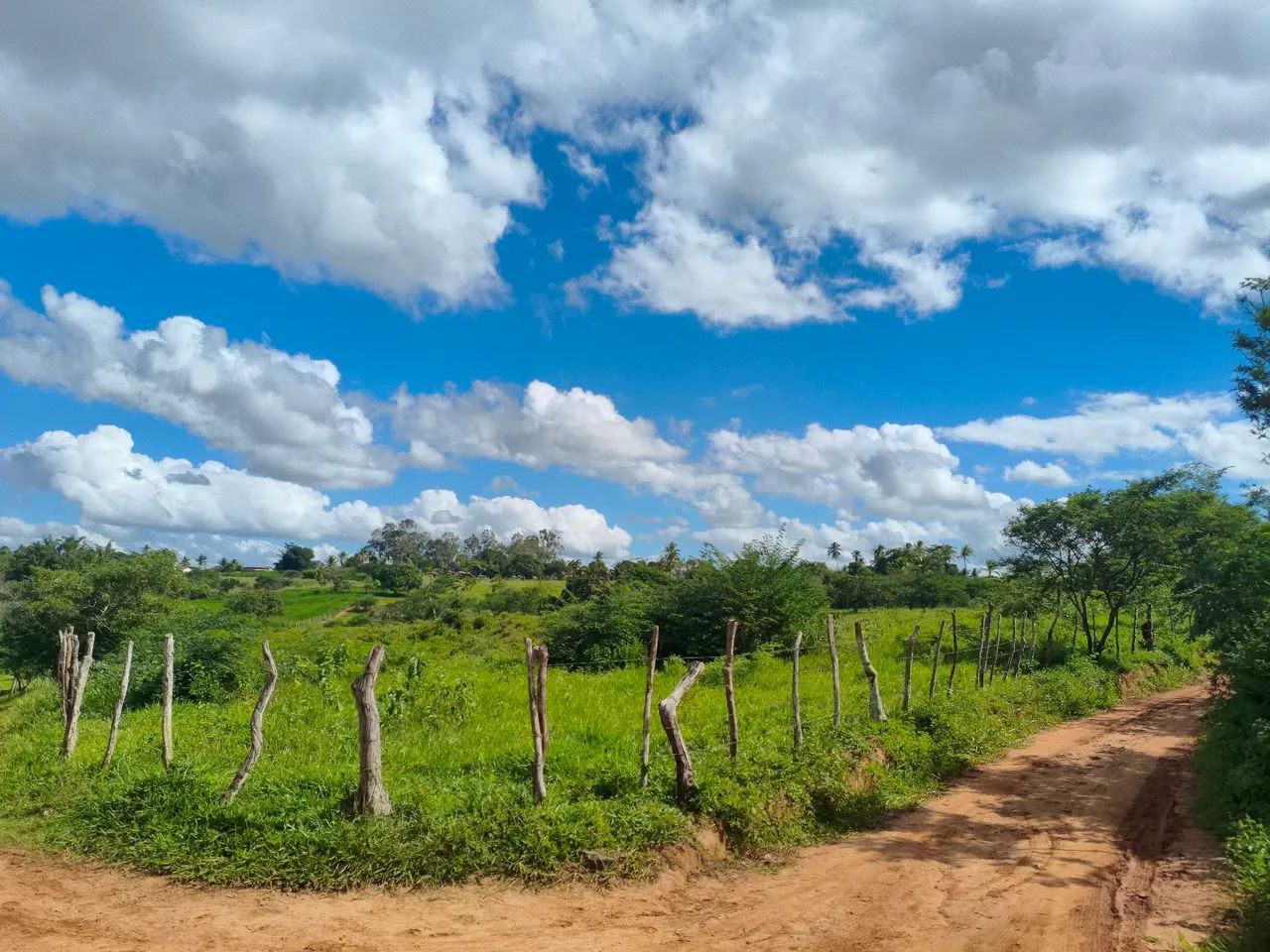 Oportunidade Única: Terreno Amplo com 6 Tarefas e minantes  - Foto 3