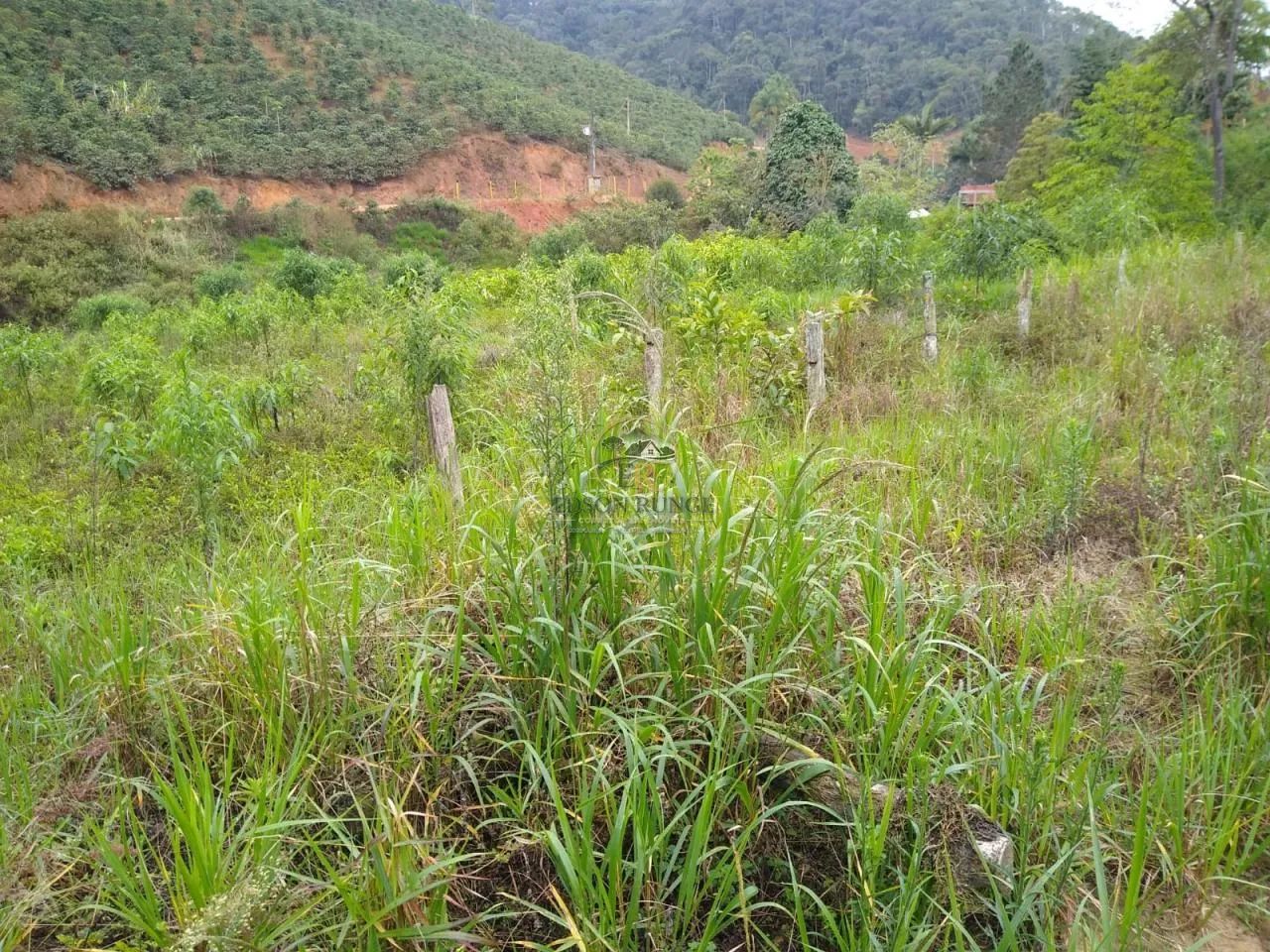 Sítio bom com casa e 26 hectares com nascente e eucaliptos. - Foto 5