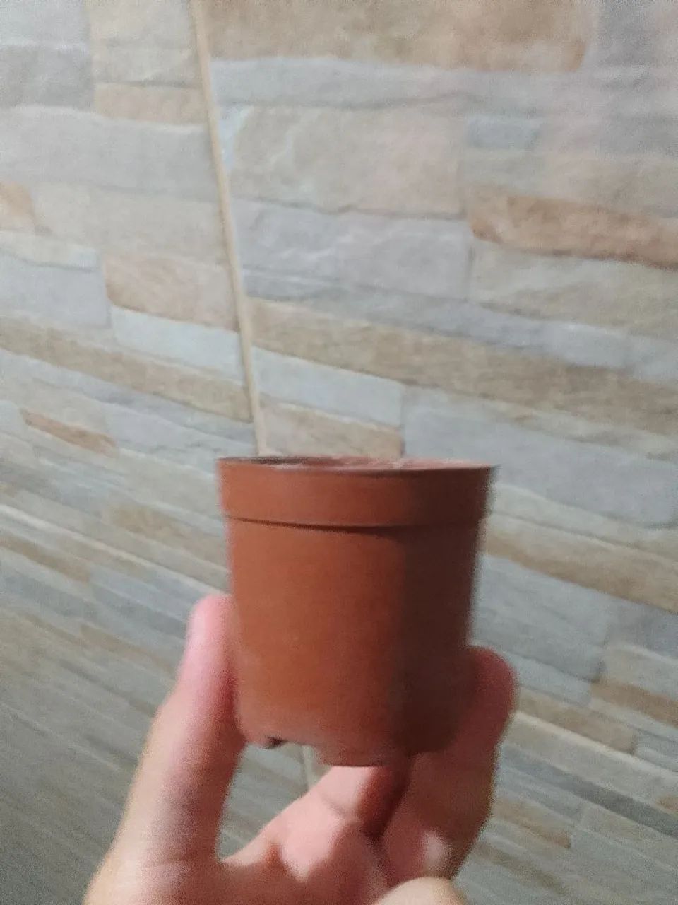 Vasinhos.  - Foto 3