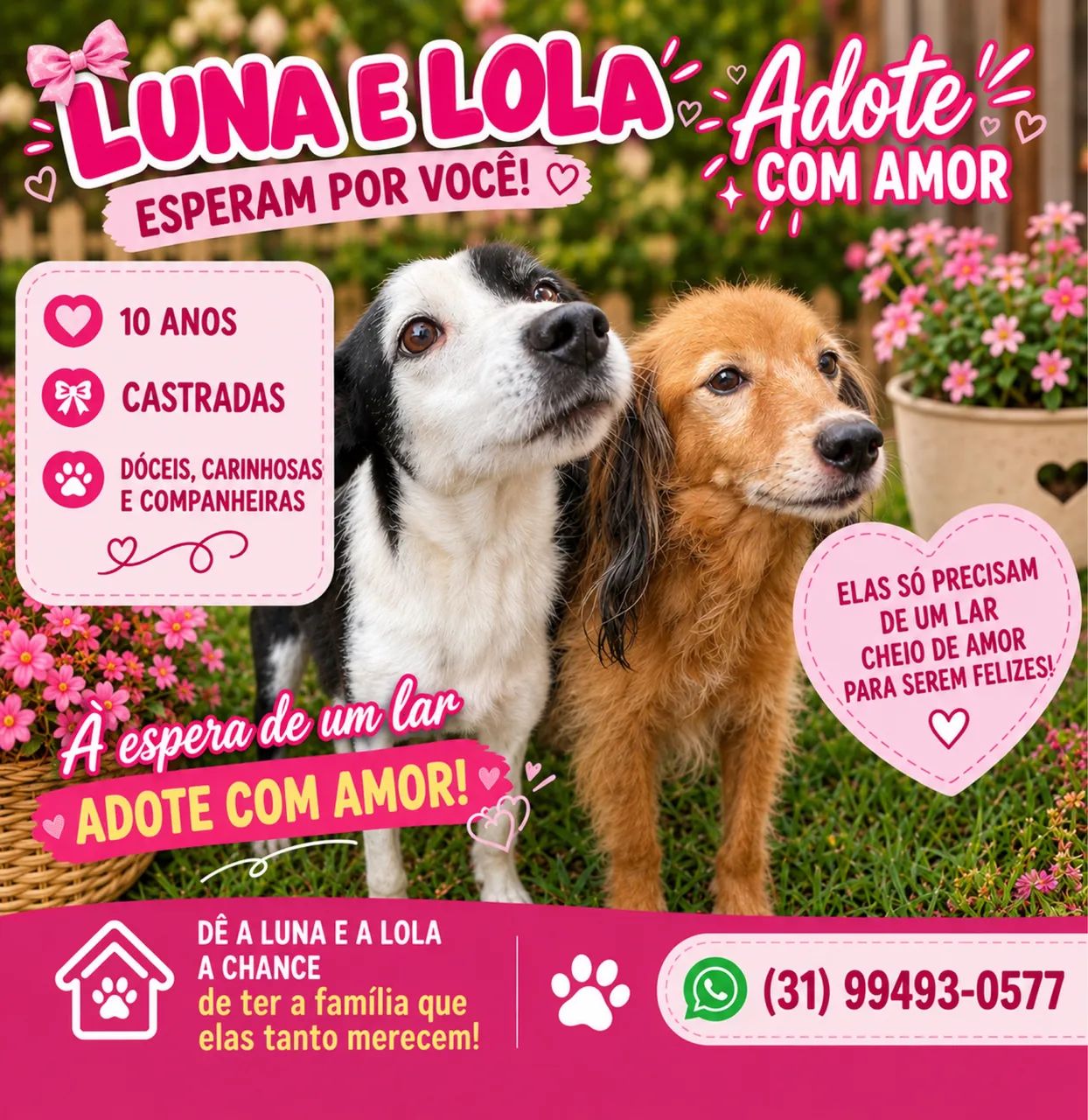 Doação 