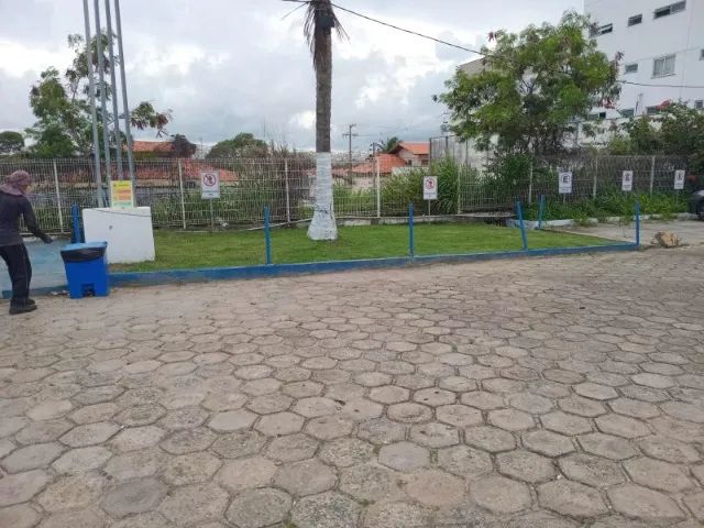 Serviços de jardinagem e roçagem em geral  - Foto 3