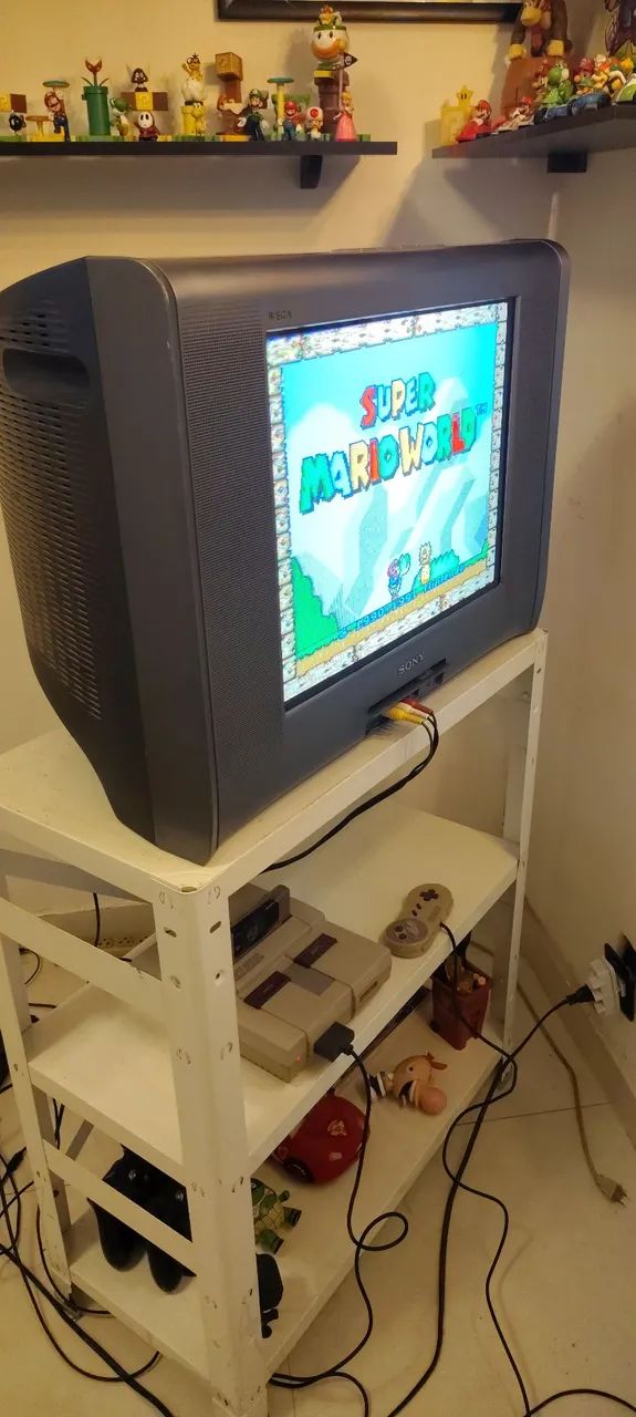 Tv 21 polegadas Sony wega (leia)