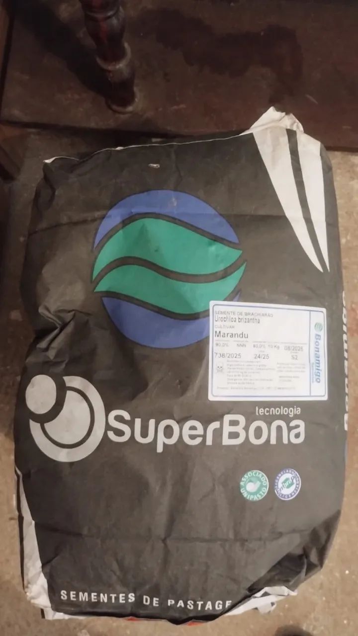 Vende se sementes de Brashiaria Marandu Incrustada