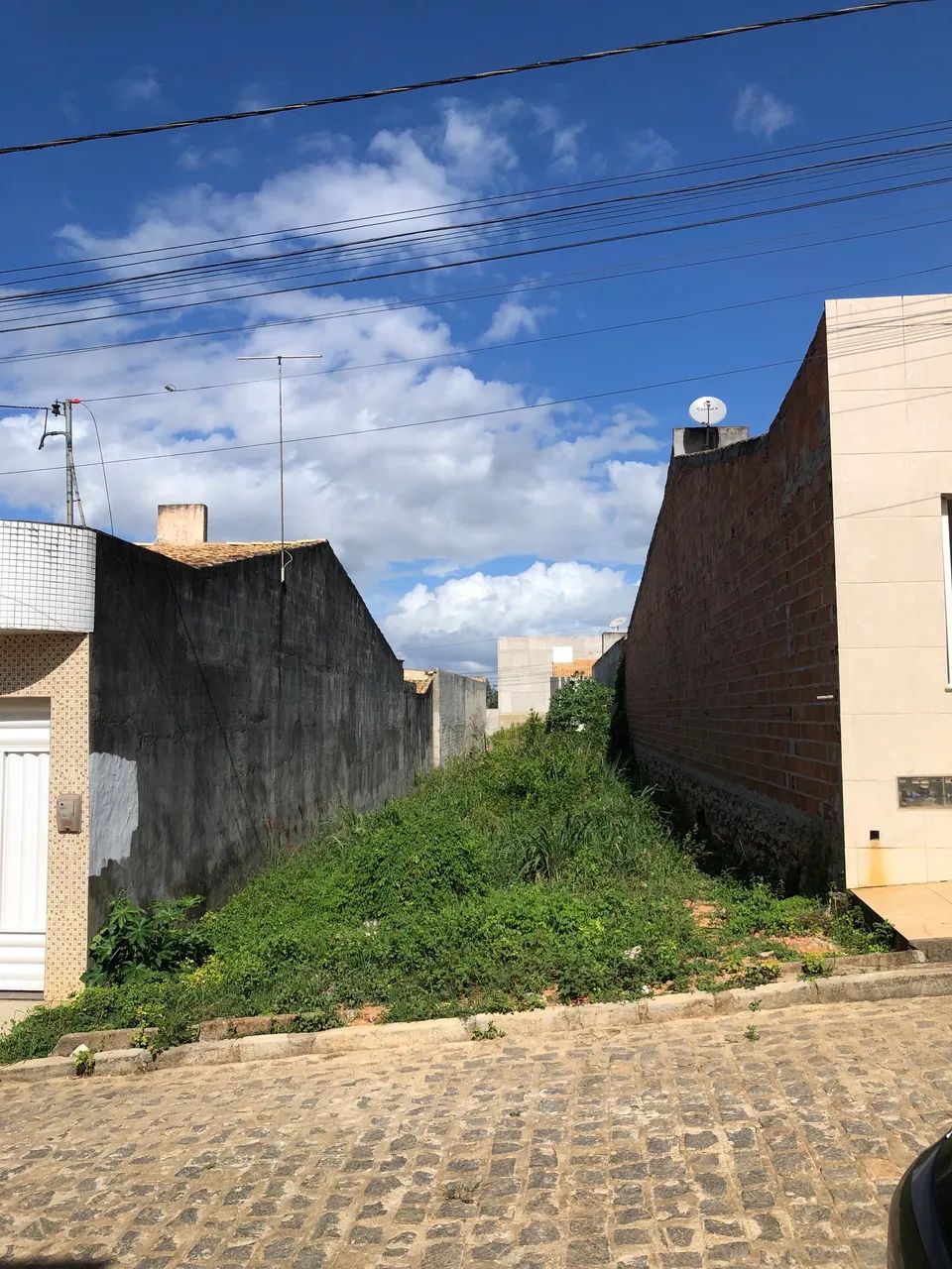 Foto - Aracaju - Jabotiana