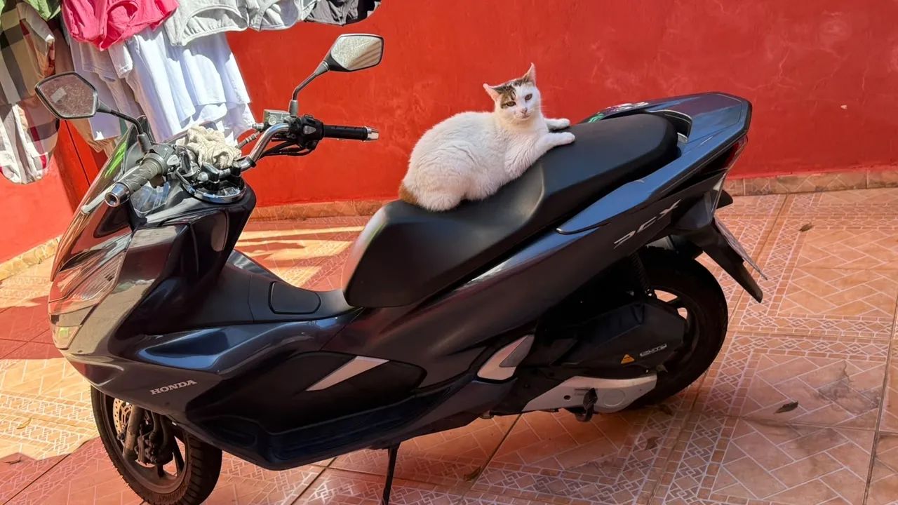 Pcx 150 cc  - Foto 3