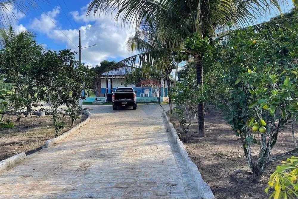 FAZENDINHA EM UNIÃO DOS PALMARES - Foto 4