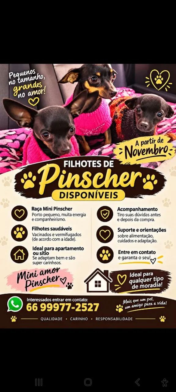 PINCHER 