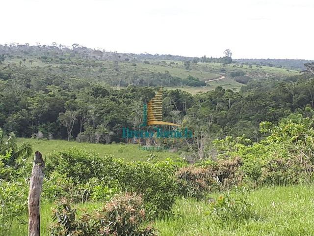 Fazenda á 15KM da balsa de Santo André - Foto 4