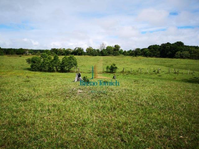 Fazenda á 3Km de Eunápolis - Foto 2