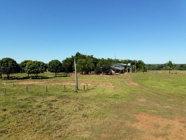 Fazenda no município de Itaúba -MT 1.457 hectares com 457 aberto - Foto 4