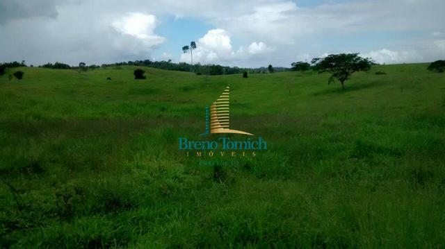Fazenda em Santa Maria Eterna - Foto 9